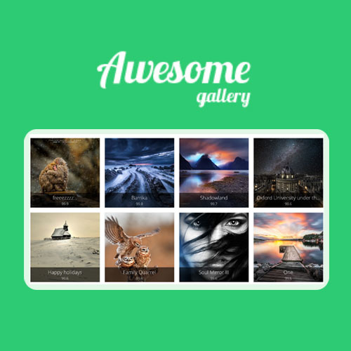 Awesome Gallery - Instagram Flickr Facebook galleries on your site
